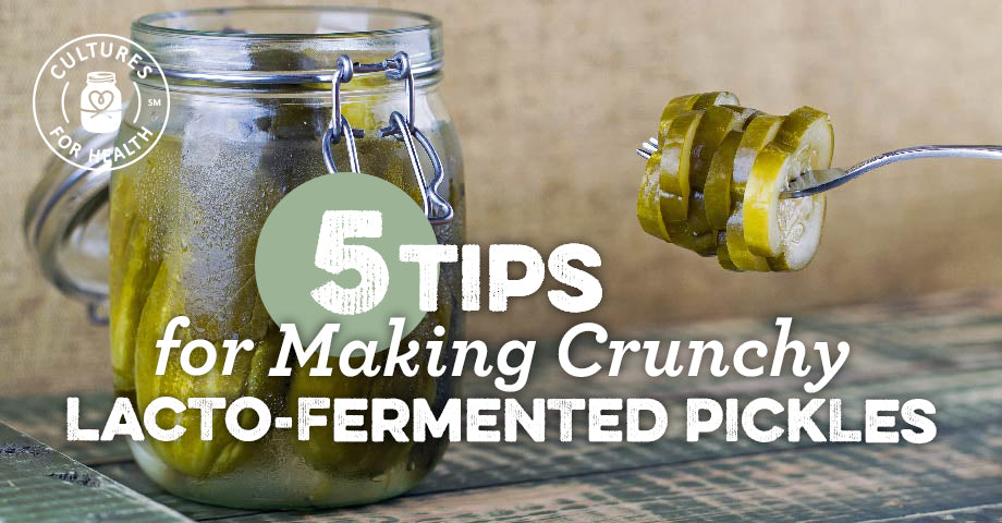 Five Tips For Making Crunchy Lacto-Fermented Dill Pickles