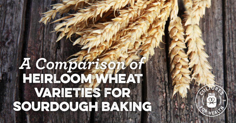 A Comparison Of Heirloom Wheat Varieties For Sourdough Baking