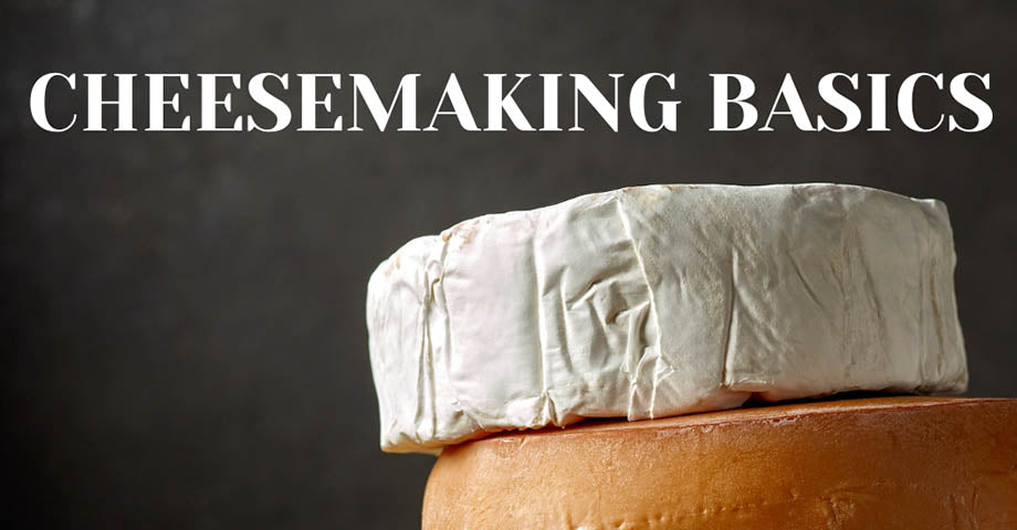 How to Make Homemade Cheese | Cheesemaking Basics