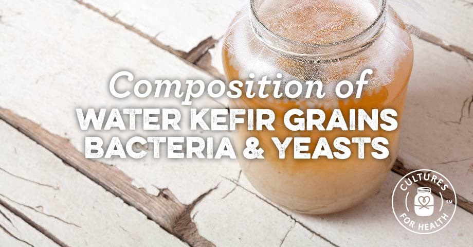 Composition Of Water Kefir Grains: Bacteria & Yeasts