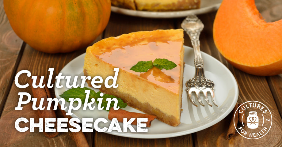 Recipe: Cultured Pumpkin Cheesecake