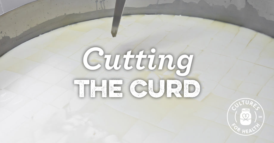 Cutting The Curd