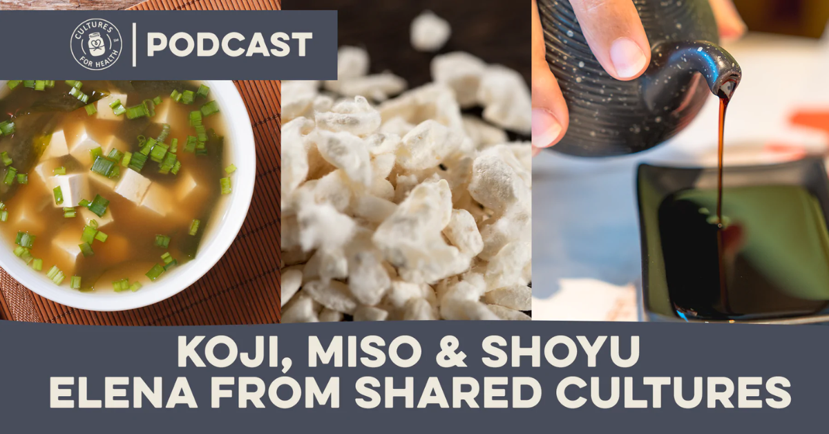 Koji, Miso & Shoyu | Elena From Shared Cultures