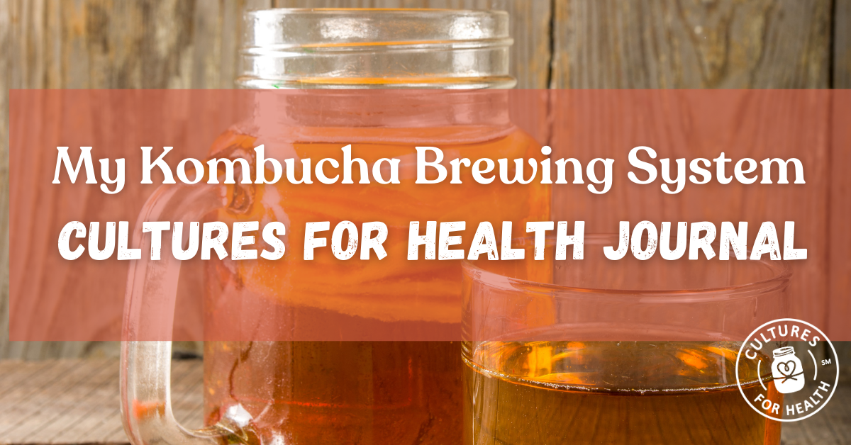 My Kombucha Brewing System | Cultures for Health Journal
