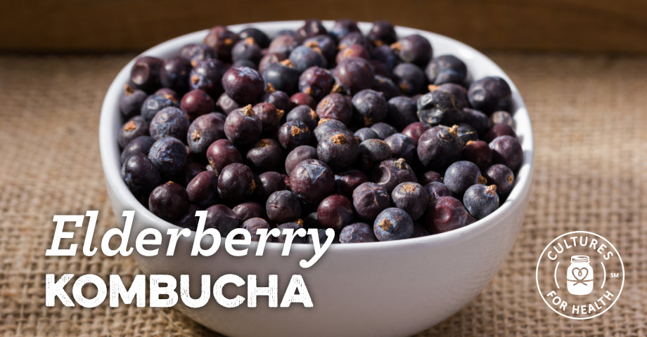 Recipe: Elderberry Kombucha
