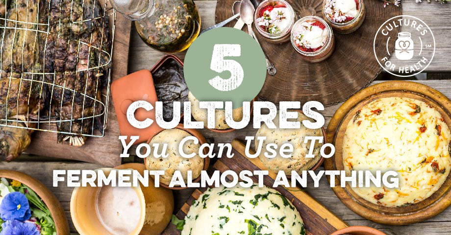5 Cultures You Can Use To Ferment Almost Anything
