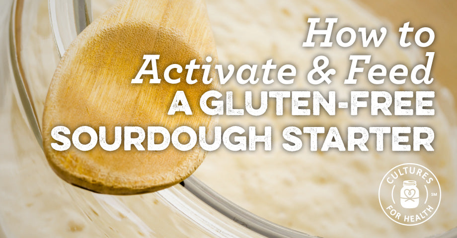 How To Activate And Feed A Gluten-Free Sourdough Starter