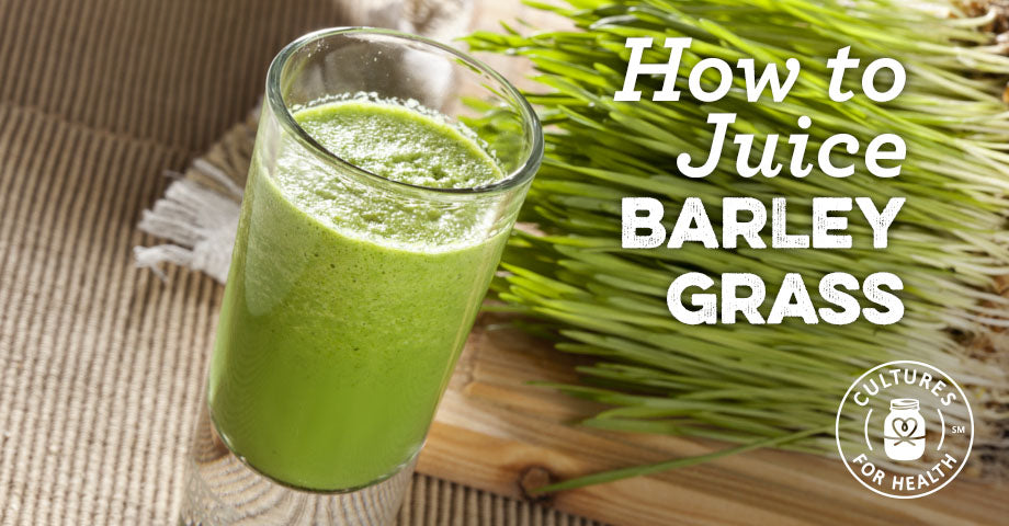 How To Juice Barley Grass | Cultures for Health