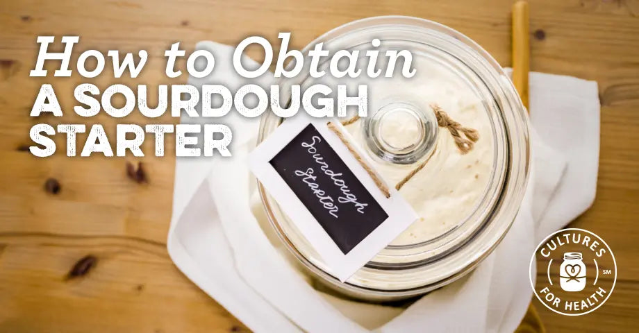 Sourdough Starter: How to Make or Obtain a Sourdough Starter