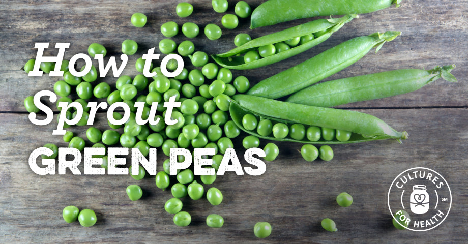 Grow Delicious Pea Sprouts at Home