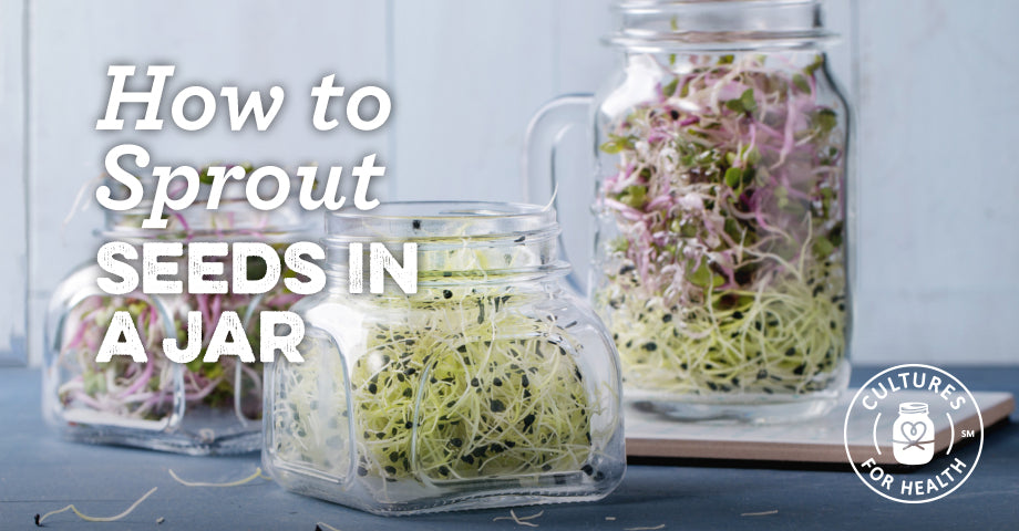 How To Sprout Seeds In A Jar