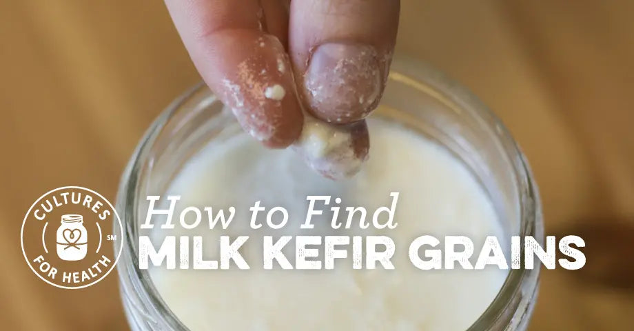 Homemade Milk Kefir Grains