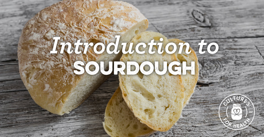 Introduction To Sourdough