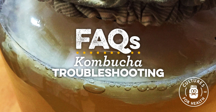 Kombucha Troubleshooting FAQ