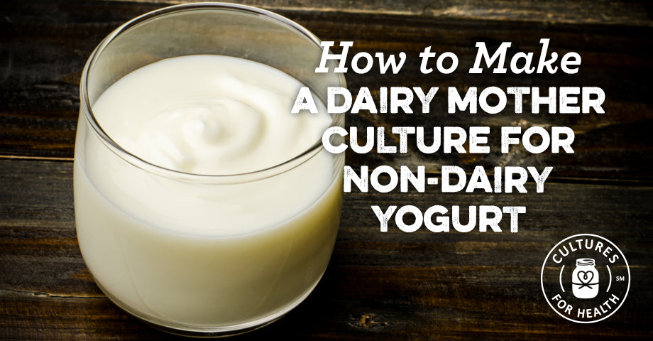Making a Dairy Mother Culture for Non-Dairy Yogurt