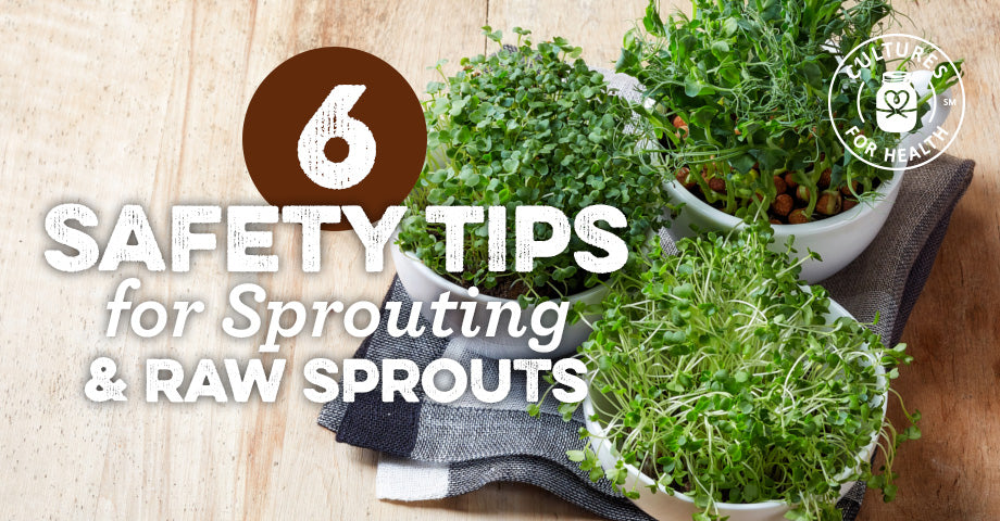 6 Safety Tips for Sprouting & Raw Sprouts