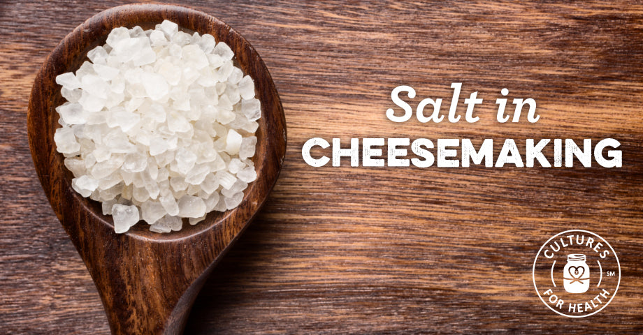 Salt In Cheesemaking