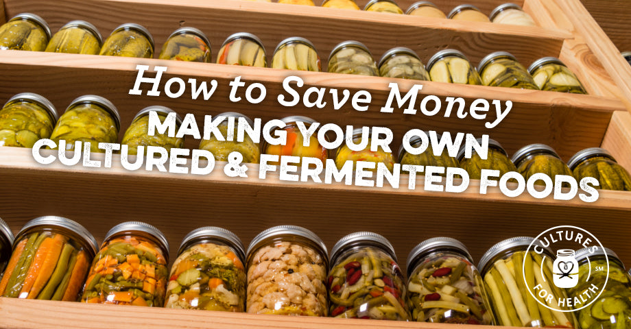 How to Save Money Making Your Own Cultured & Fermented Foods