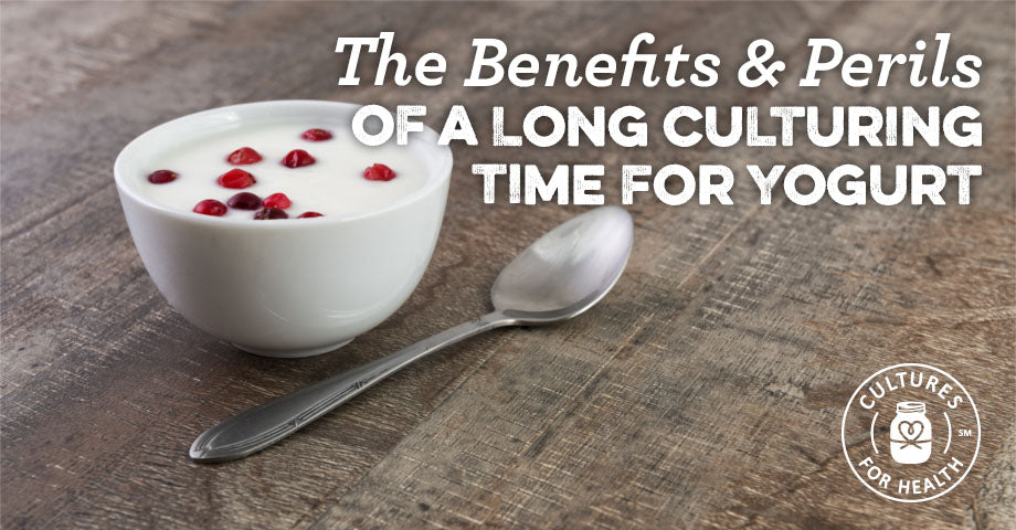 The Benefits and Perils of a Long Culturing Time for Yogurt