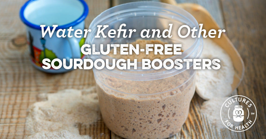 Gluten-free Sourdough Boosters