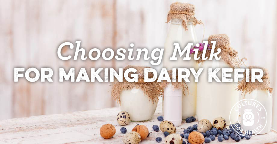 Choosing the Best Milk For Making Dairy Kefir