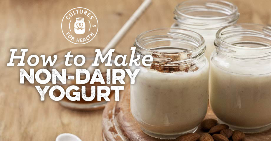 How to Make Vegan Yogurt: Our Easy No Dairy Vegan Yogurt Recipe