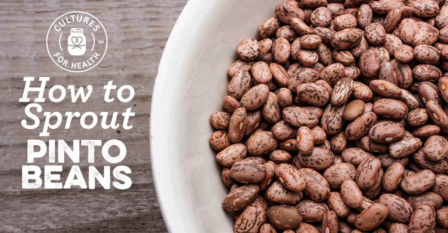 How To Sprout Pinto Beans