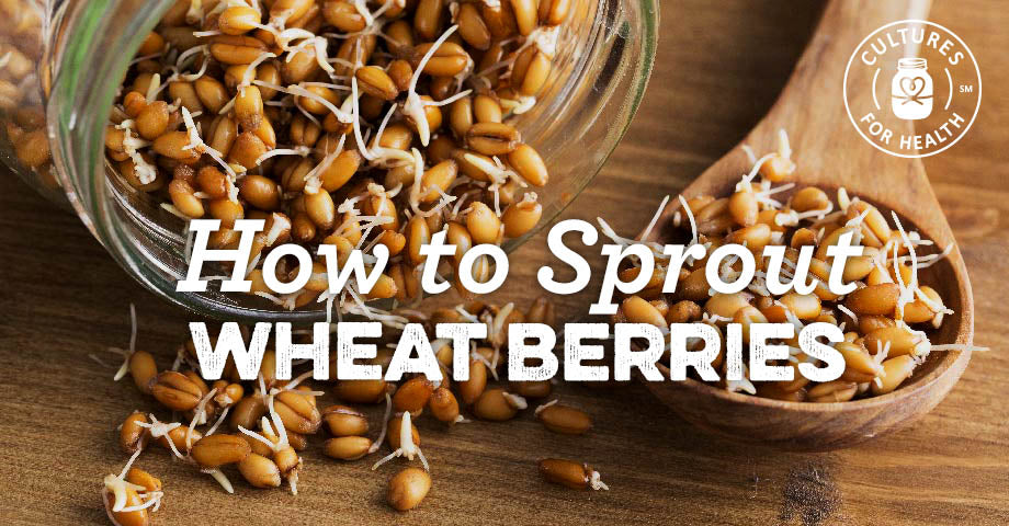 sprouted wheat berries