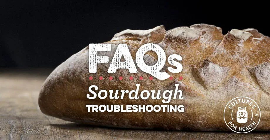 Sourdough Starter Troubleshooting | Anwsering All of Your FAQs