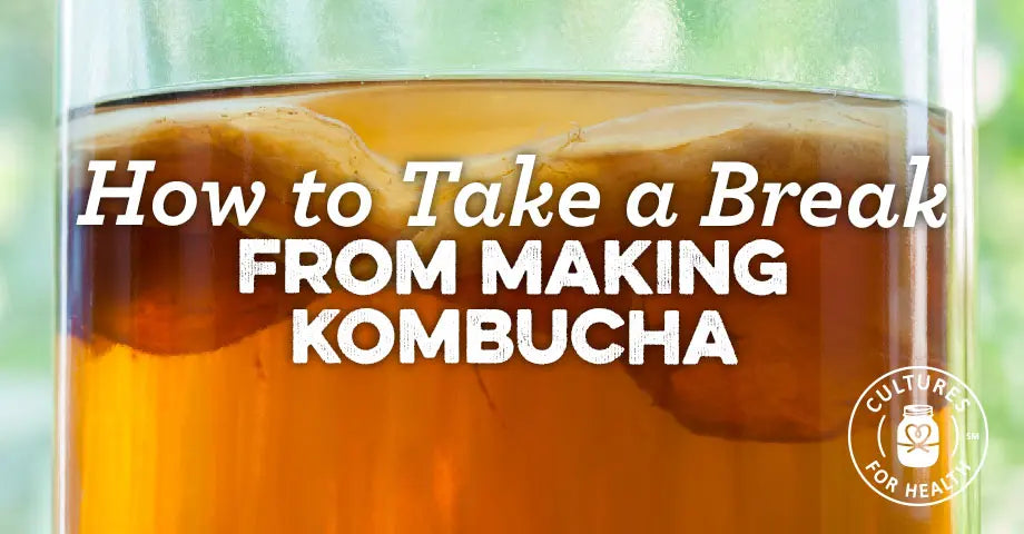 Making a SCOBY Hotel + Other Ways to Take a Break From Kombucha