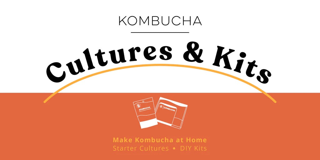 Kombucha Cultures