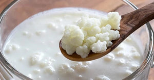 troubleshooting milk kefir