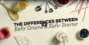 CHOOSING A KEFIR CULTURE: KEFIR GRAINS VS. POWDERED KEFIR STARTER CULTURE