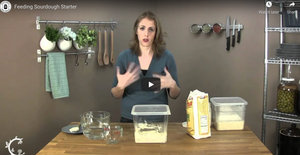FEEDING SOURDOUGH STARTER | INSTRUCTIONS & HOW-TO-VIDEO