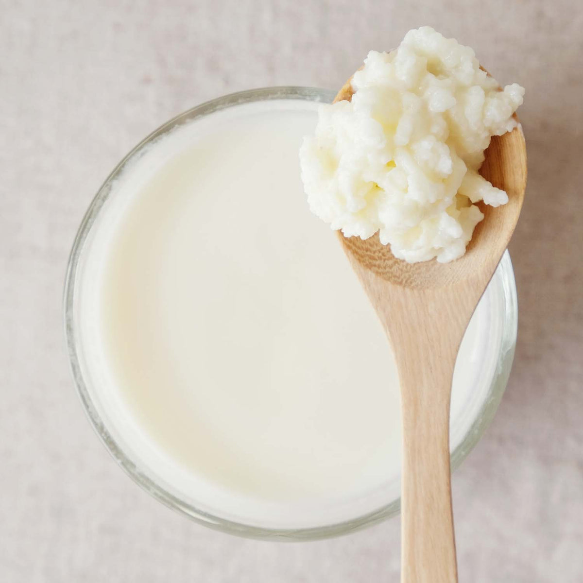 Kefir Milk Kefir Grains