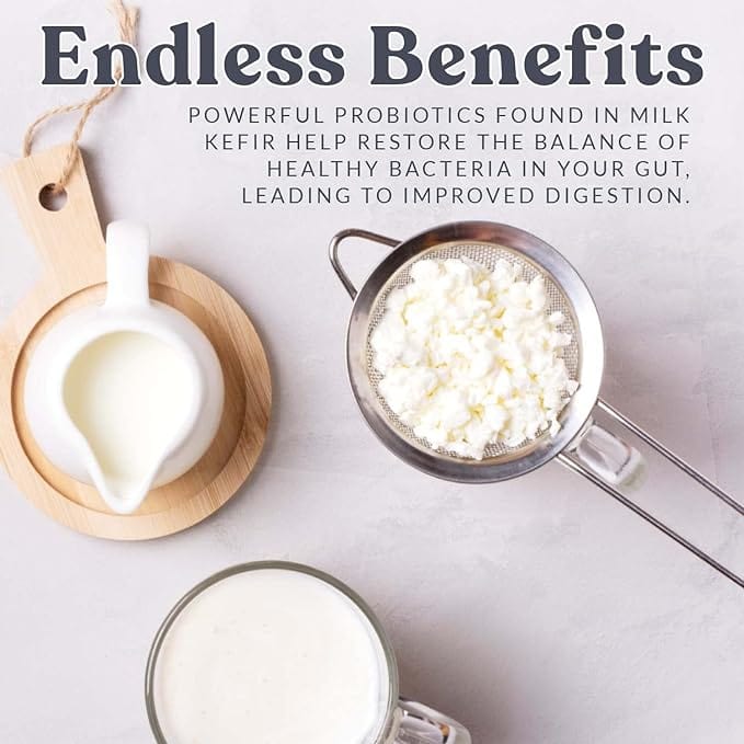 Endless Benefits of Milk Kefir Starter Kit