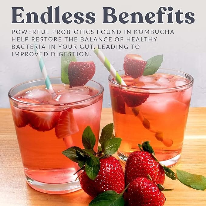 Endless Benefits of Kombucha Starter Kit