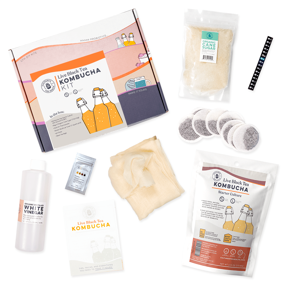 Live Black Tea Kombucha Starter Kit