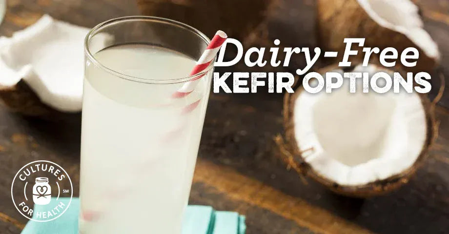 Dairy-free kefir options featured guide