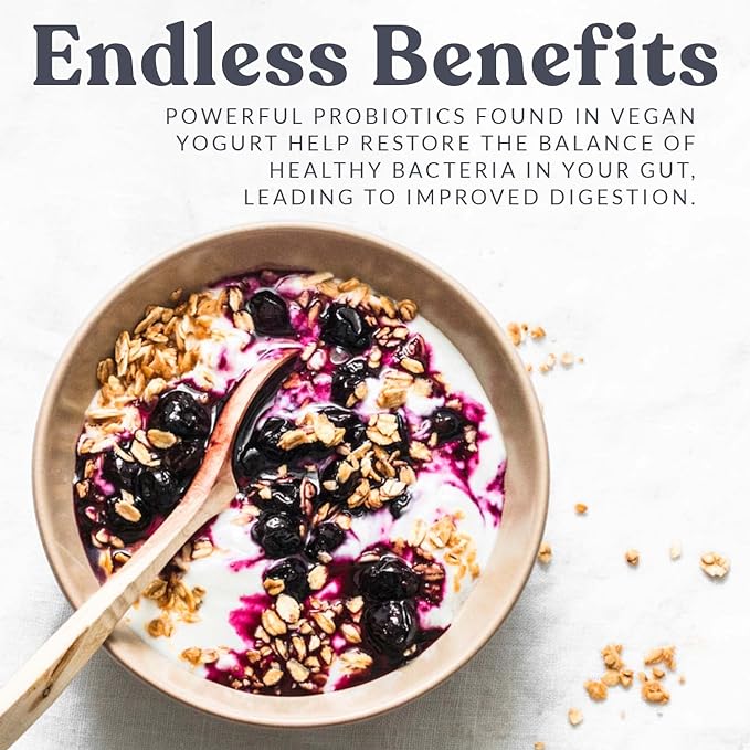 Endless Benefits: Powerful Probiotics found in vegan yogurt