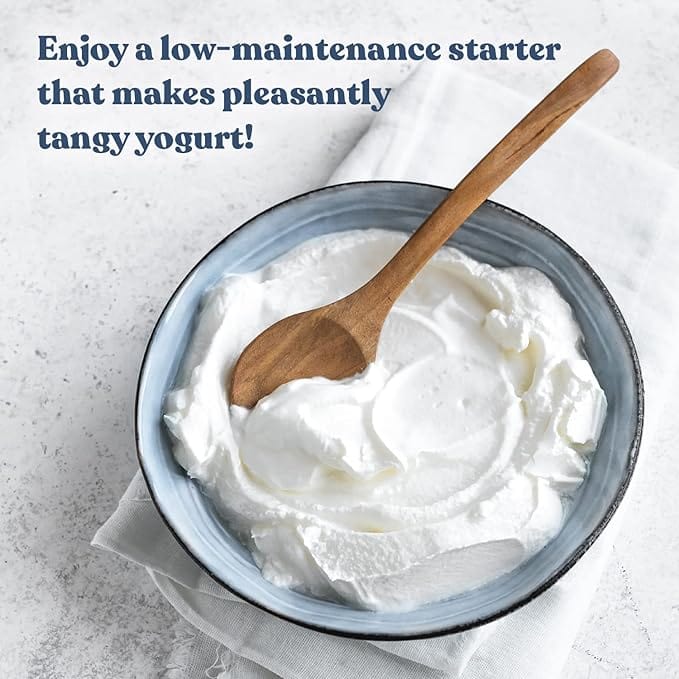 Yogurt Traditional Flavor Yogurt Starter Culture
