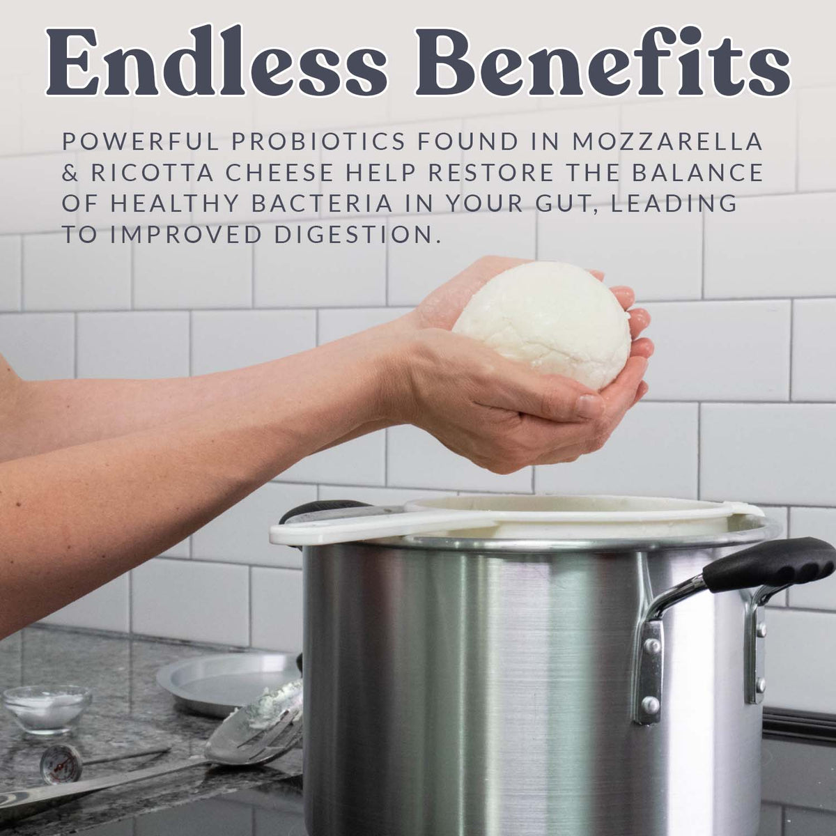 Endless Benefits of Cheese Mozzarella and Ricotta Cheese