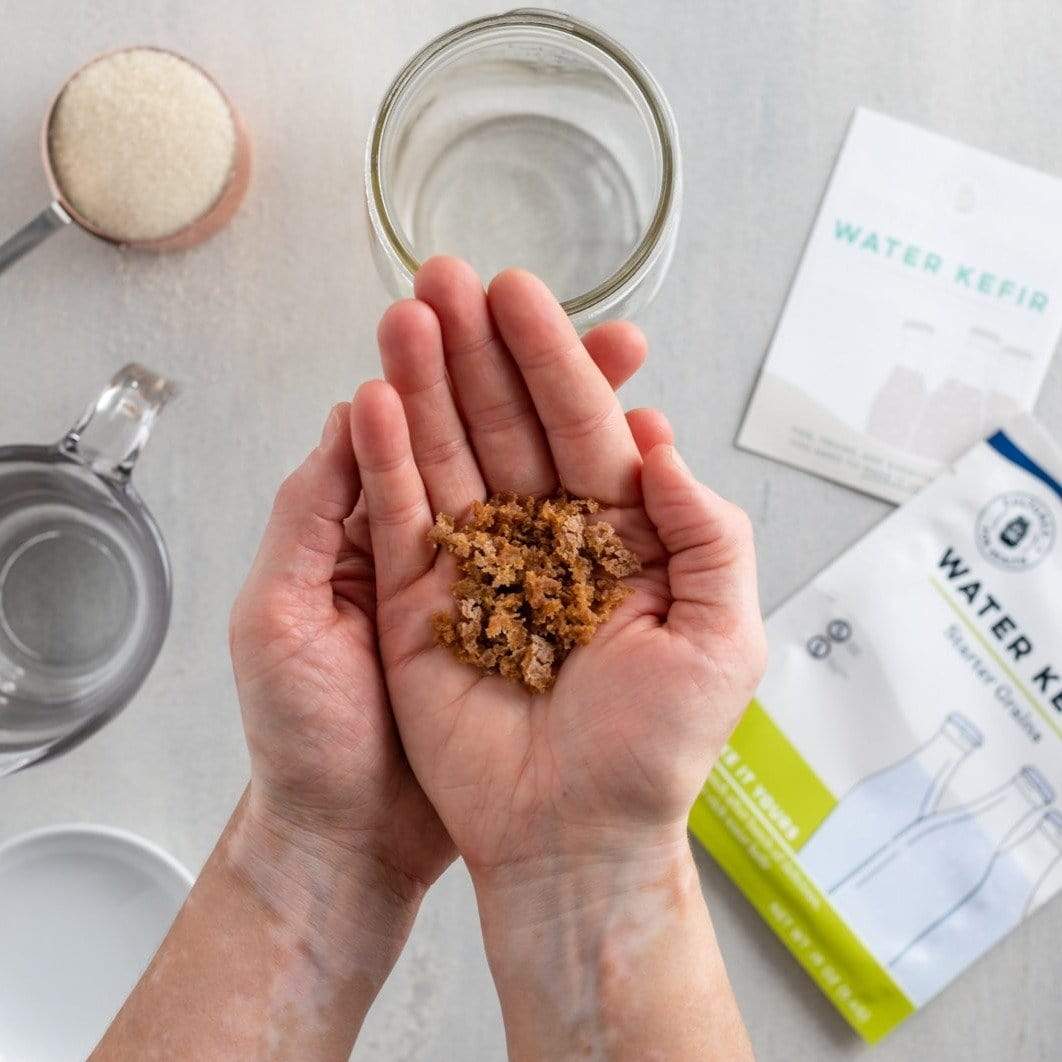 Kefir Water Kefir in hands