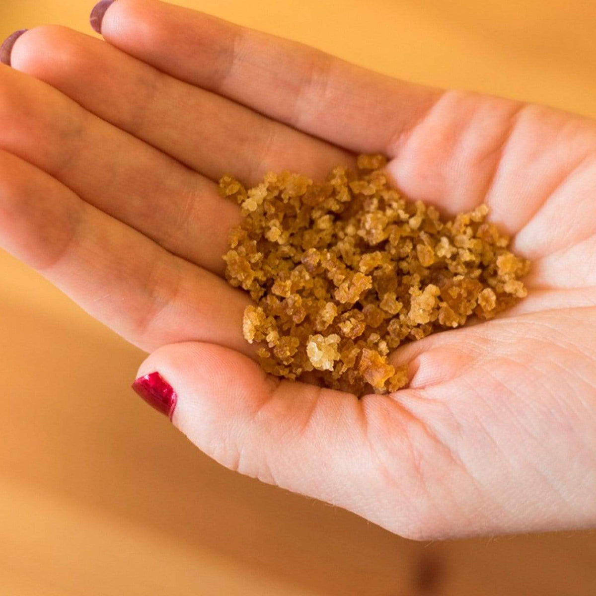 Kefir Water Kefir Starter Grains