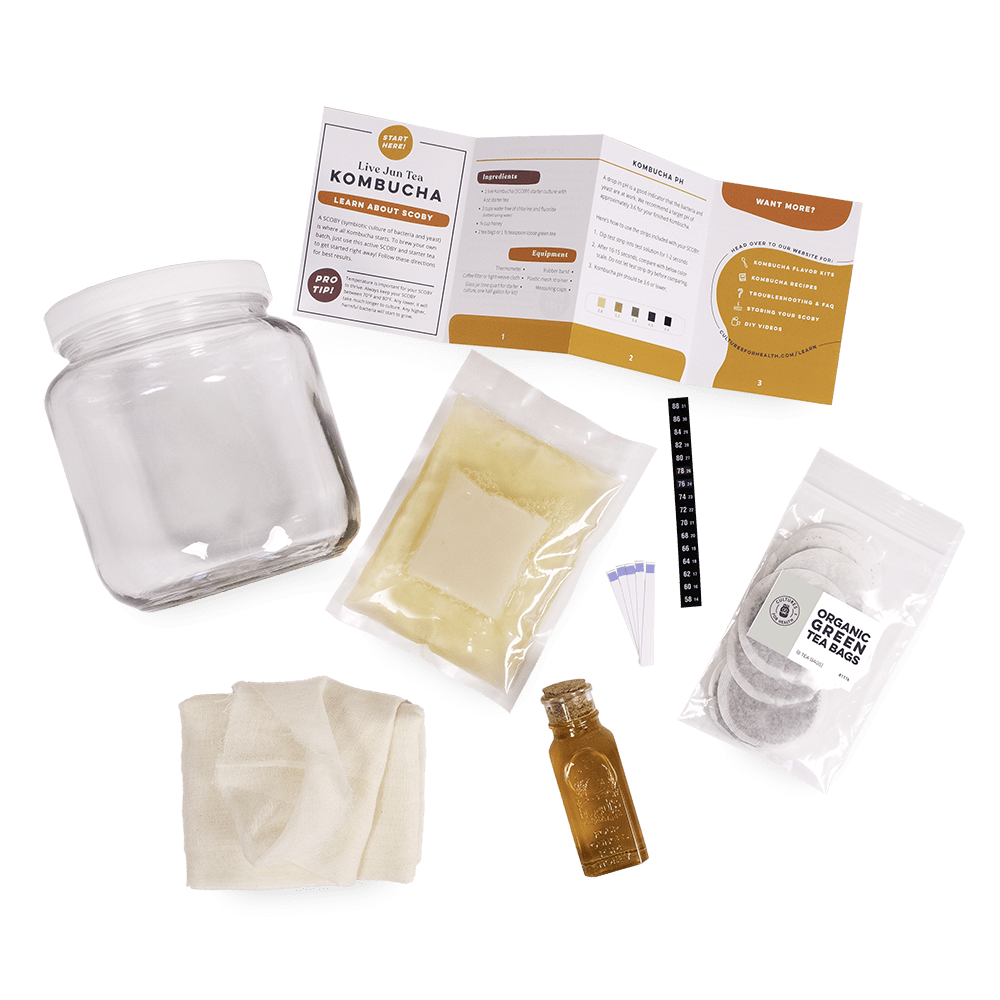 Live Jun Tea Kombucha Starter Kit