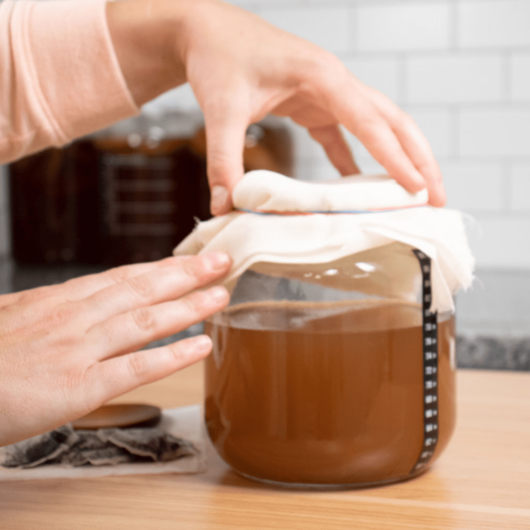 Kombucha Kombucha Starter Kit