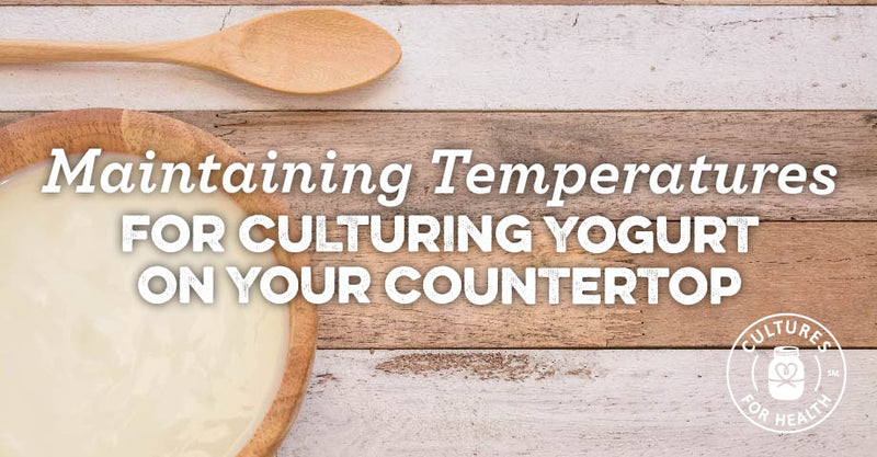 Temperature Range for Making Yogurt – Country Trading Co US