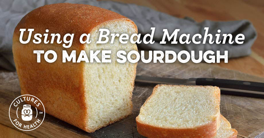 Using A Bread Machine To Make Sourdough