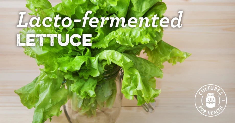 RECIPE: LACTO-FERMENTED LETTUCE (OR ANY DELICATE GREEN)