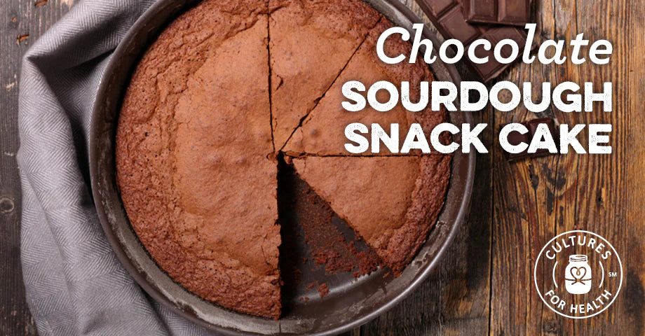 RECIPE: CHOCOLATE SOURDOUGH SNACK CAKE